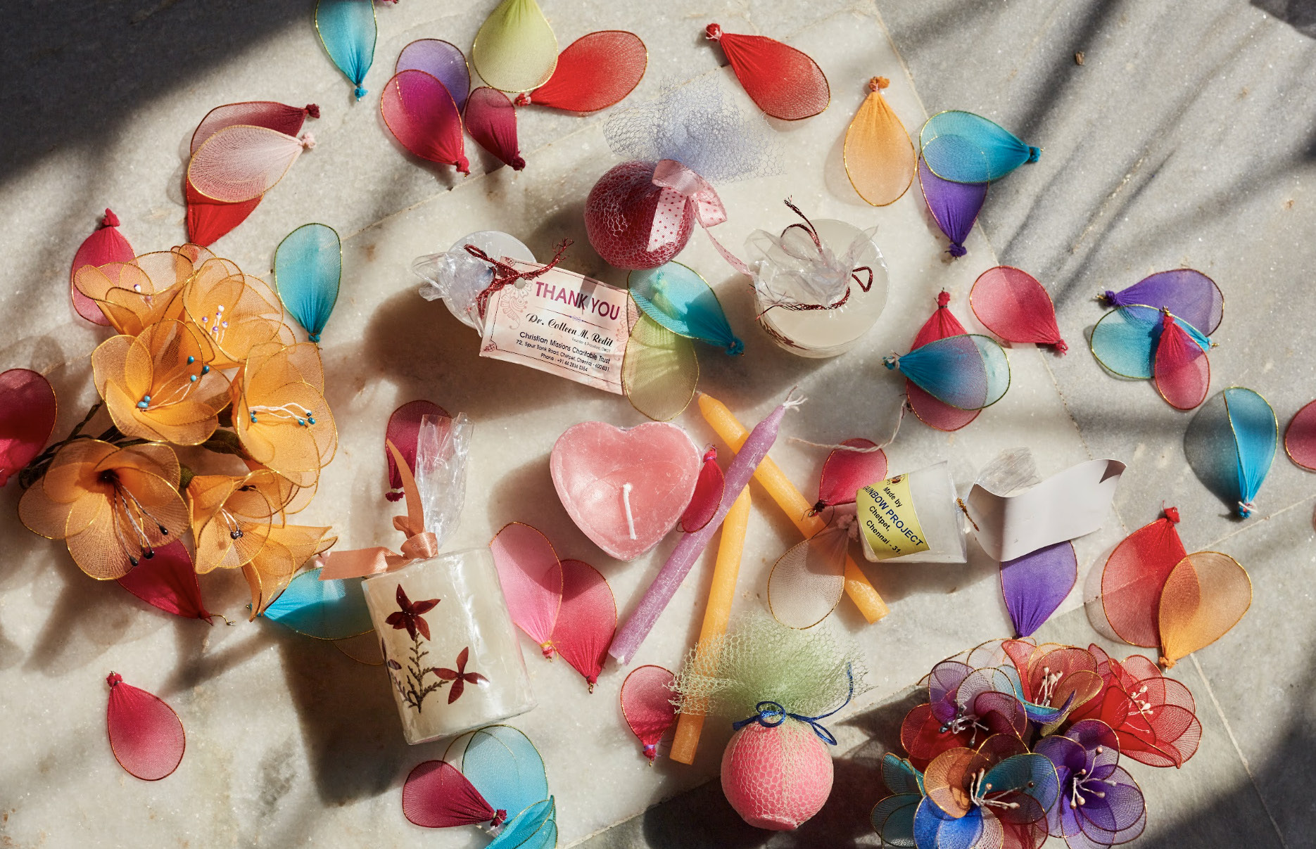 Rainbow-Rehabilitation-Project